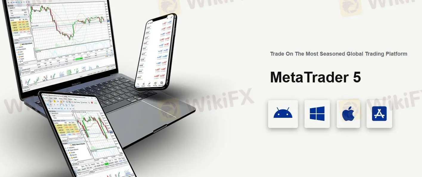 Plataforma de negociación Plataforma de negociación