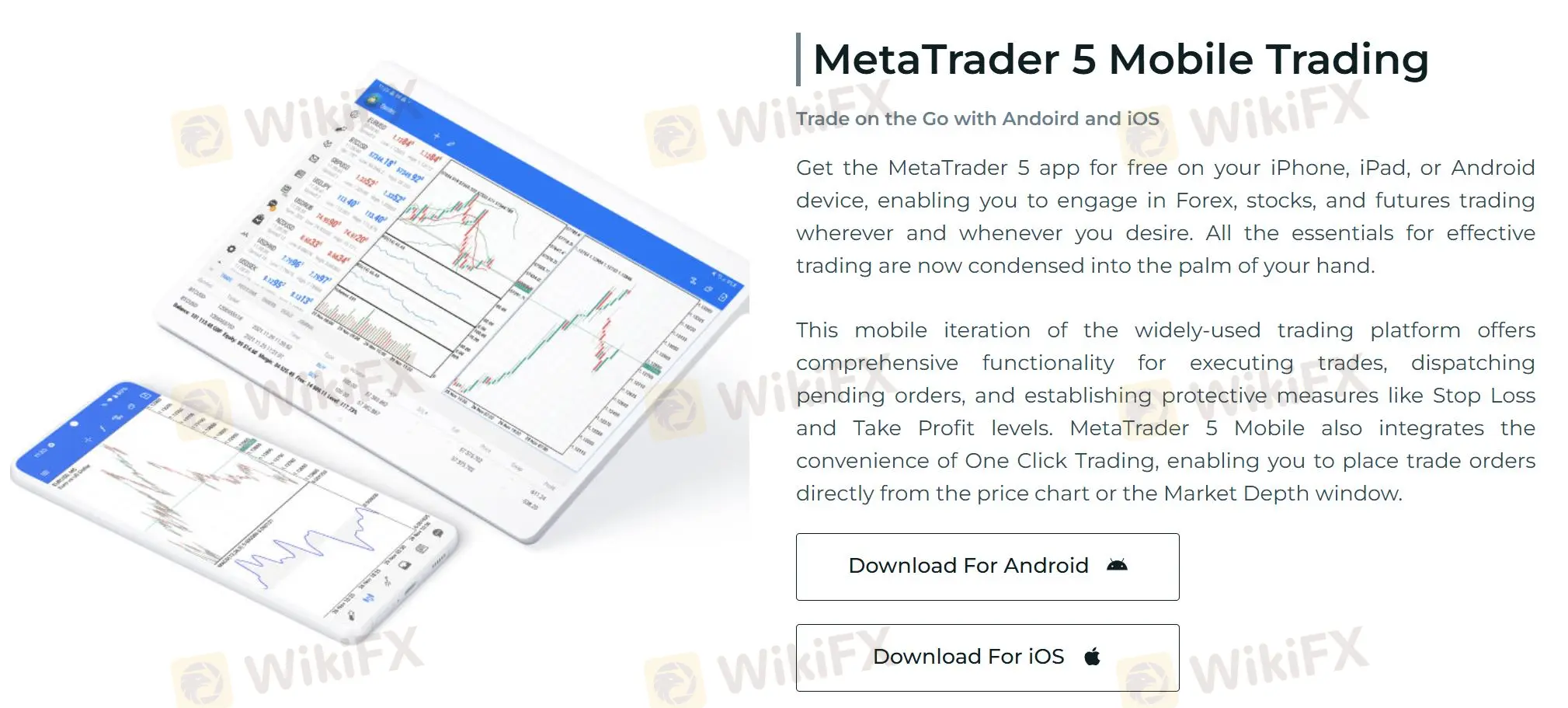 Plateforme de trading