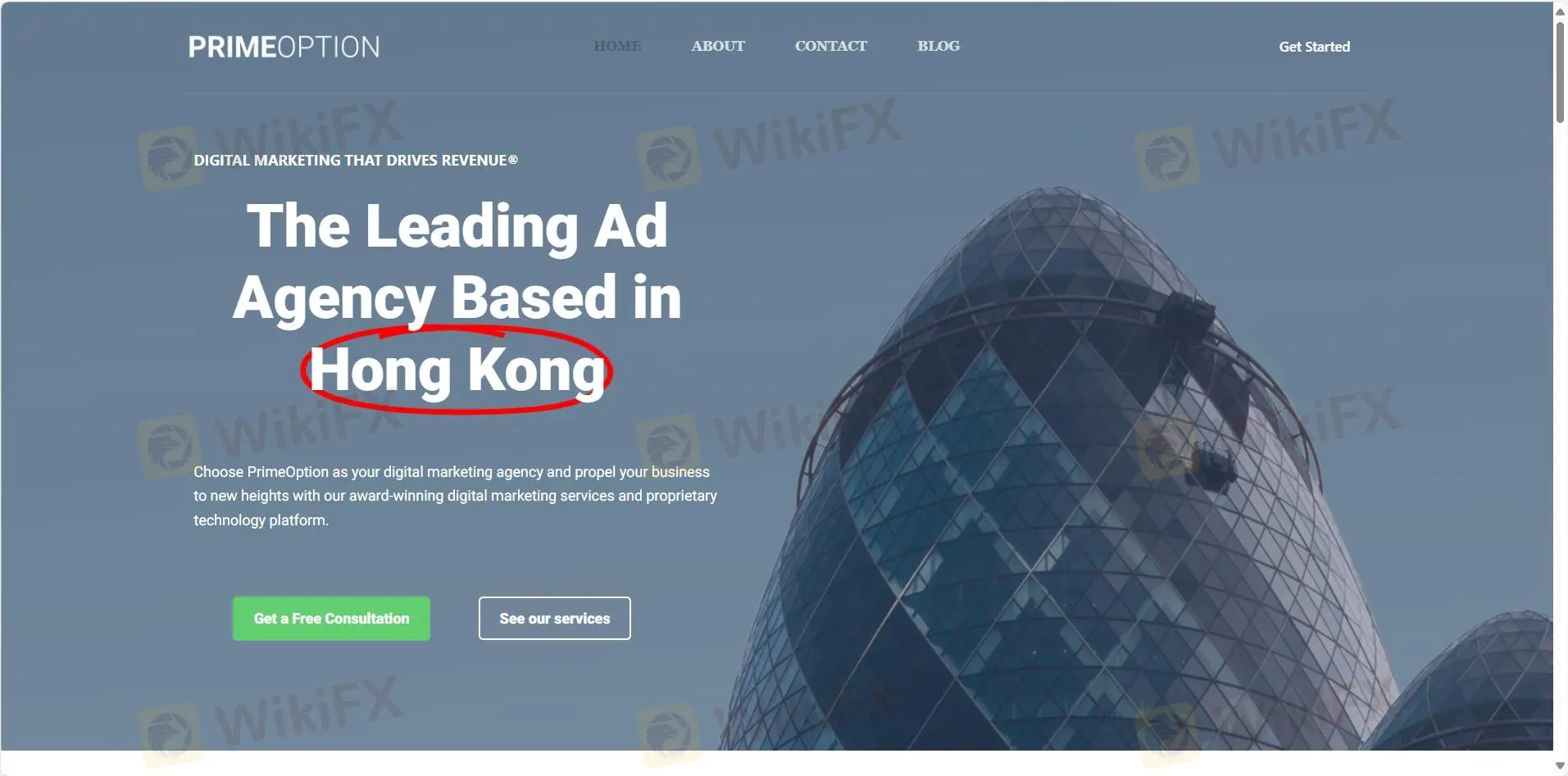 PrimeOption 信息 PrimeOption 信息