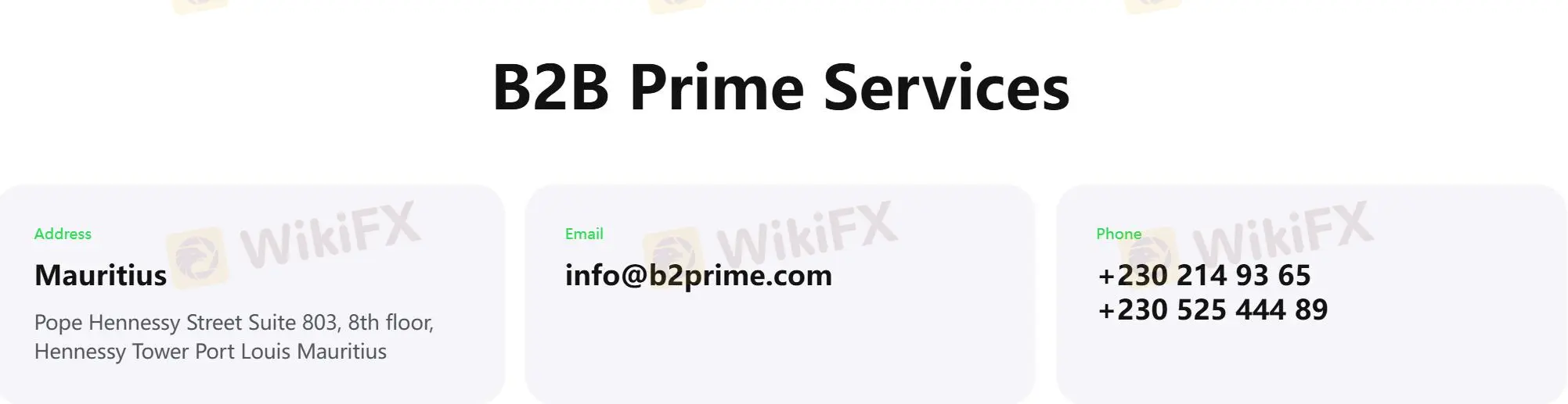 Customer Support Options