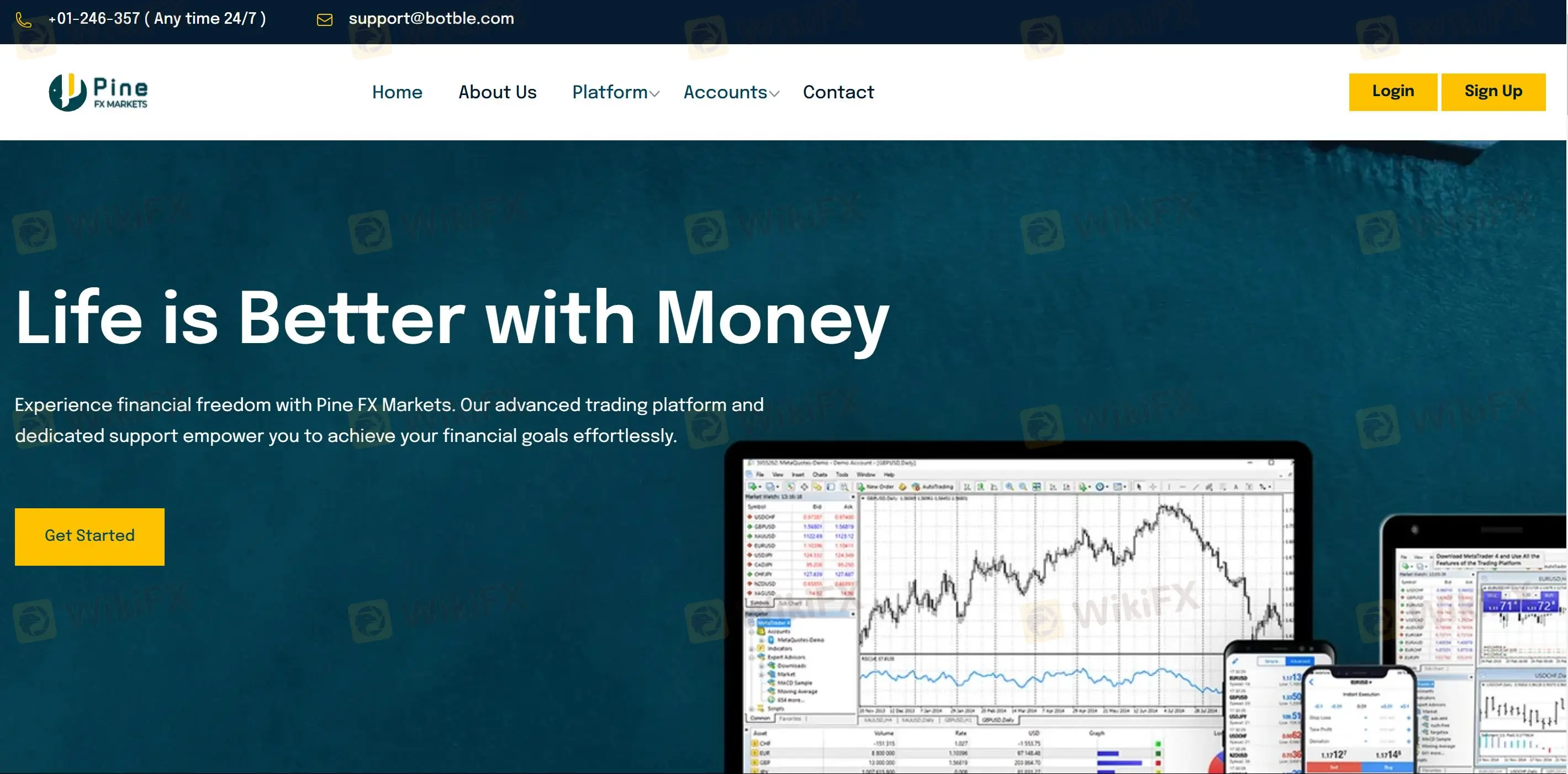 PINE FX MARKETS 信息