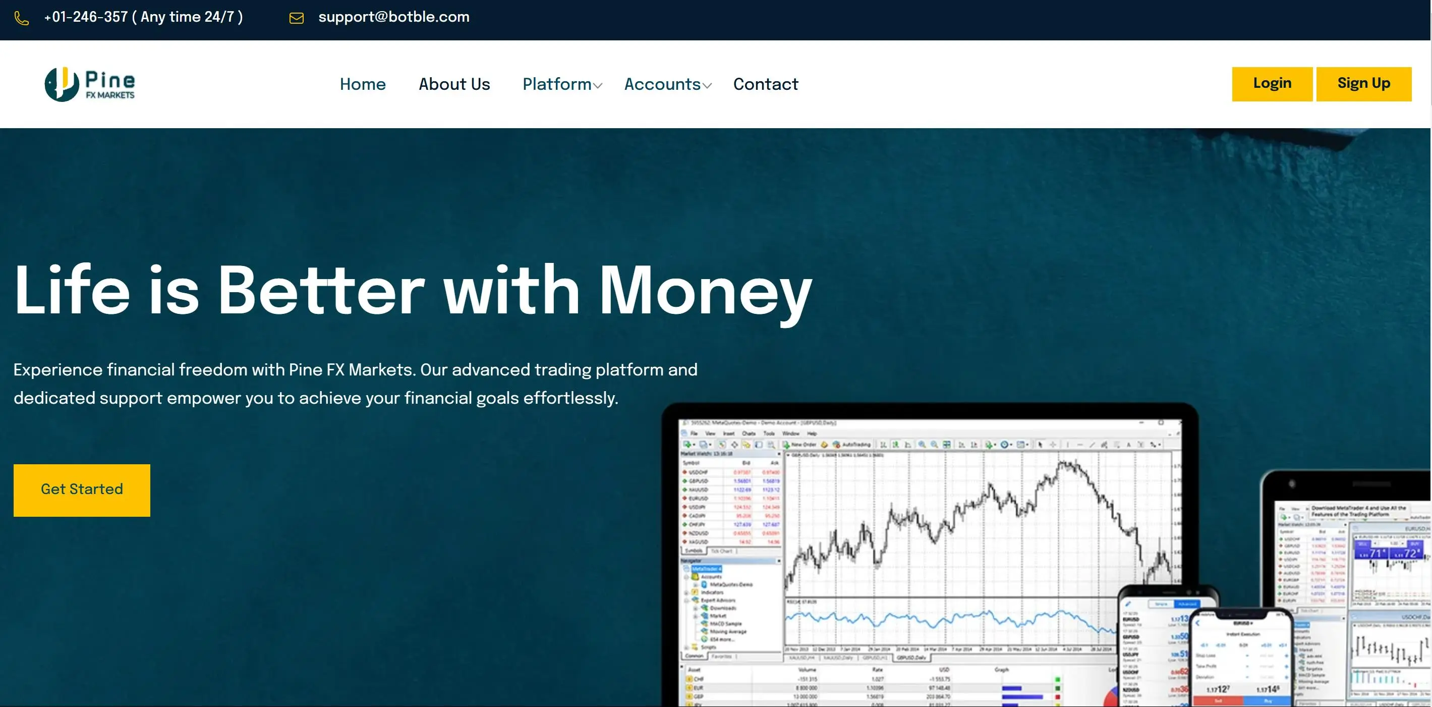 PINE FX MARKETS 信息