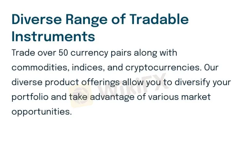 在PINE FX MARKETS上可以交易什么？