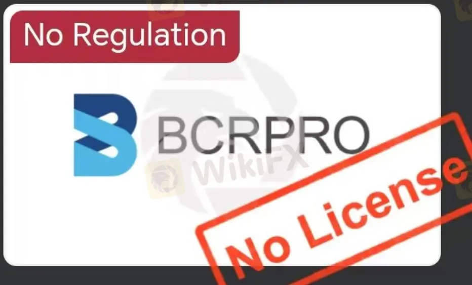 Is BCRPRO Legit?