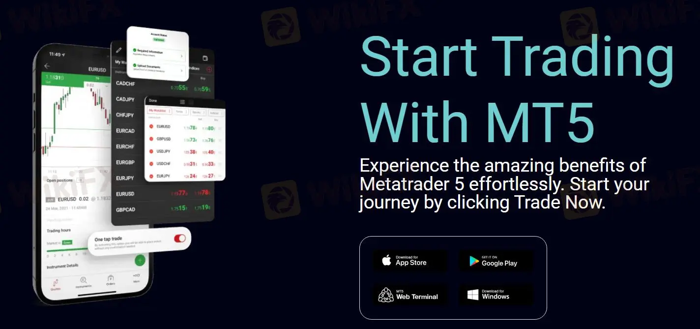 Nền tảng giao dịch Nền tảng giao dịch