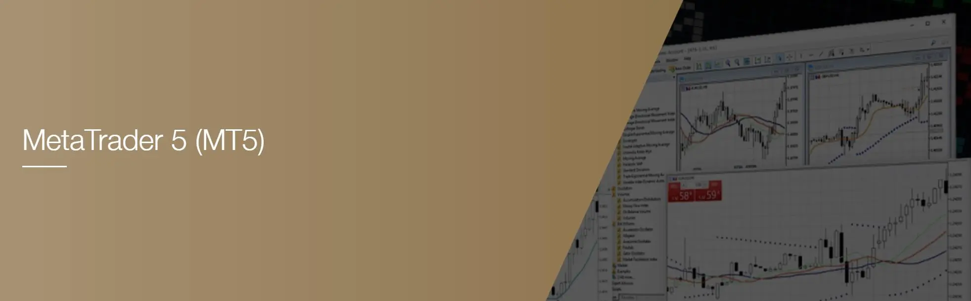Trading Platform Trading Platform