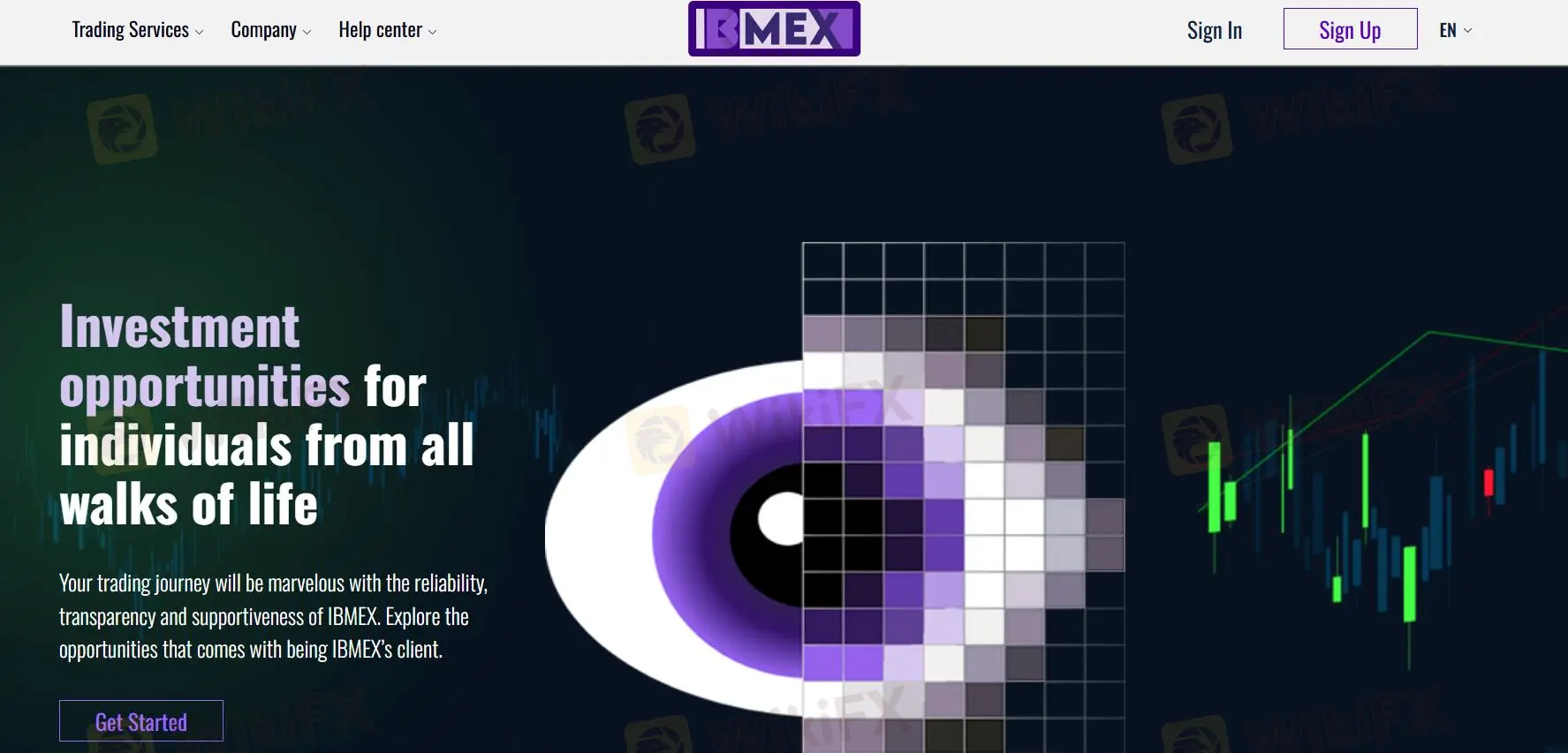IBMEX情報