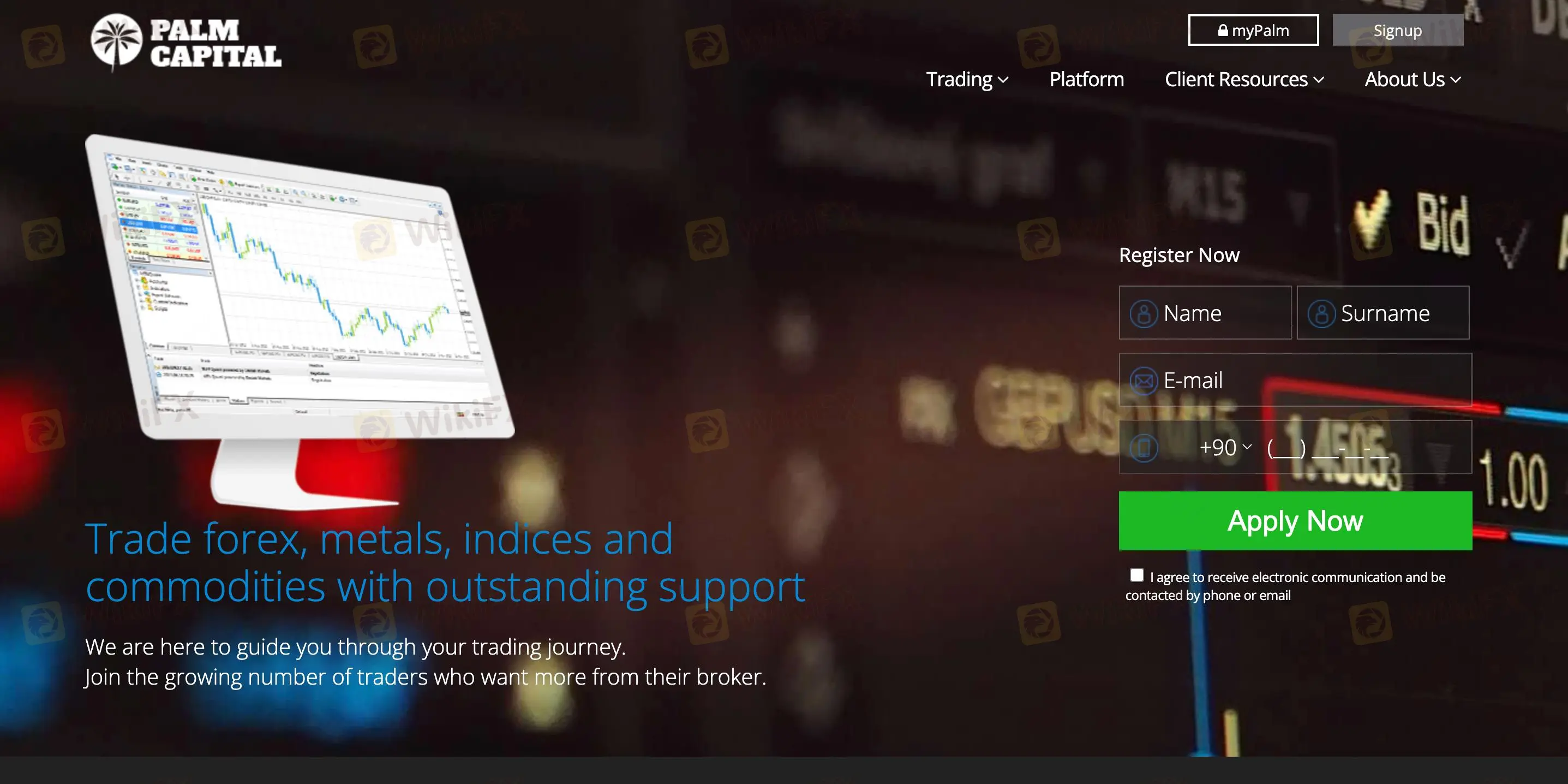 Palm Global Information