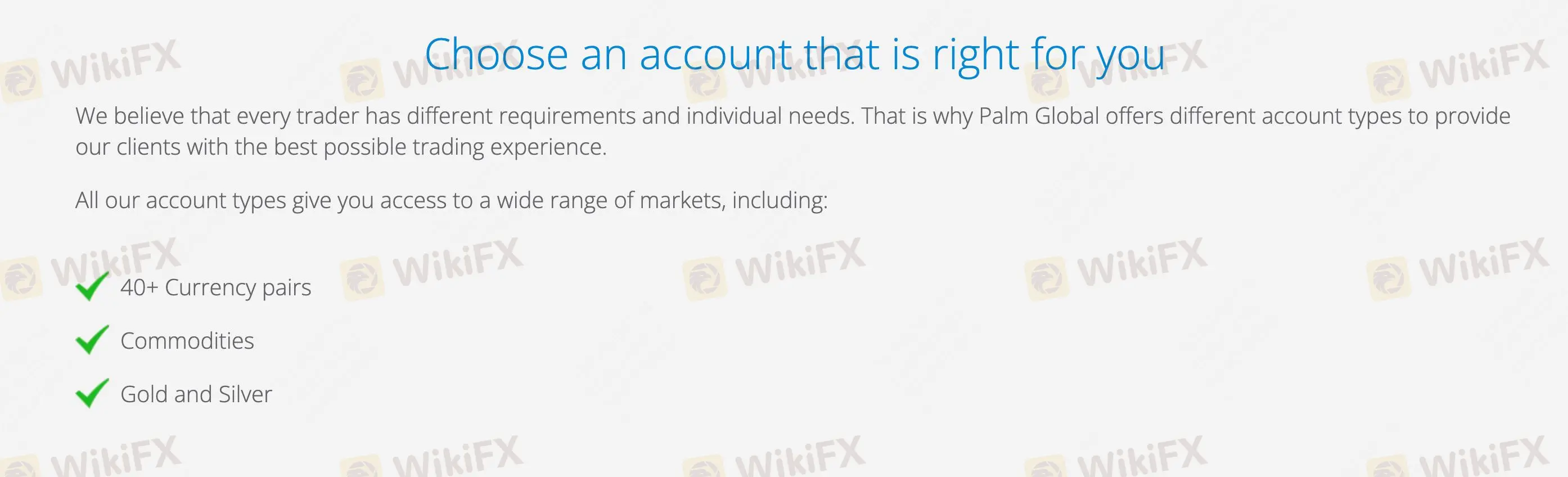 What Can I Trade on Palm Global?