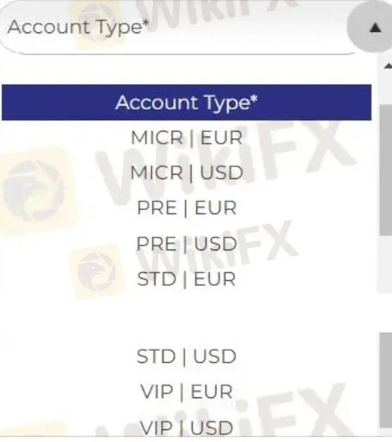 アカウントタイプ