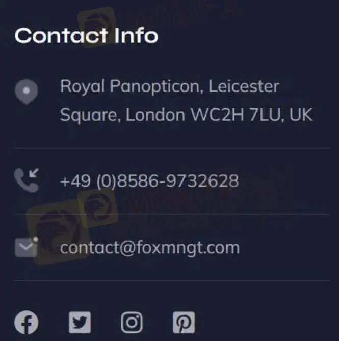 カスタマーサポートオプション