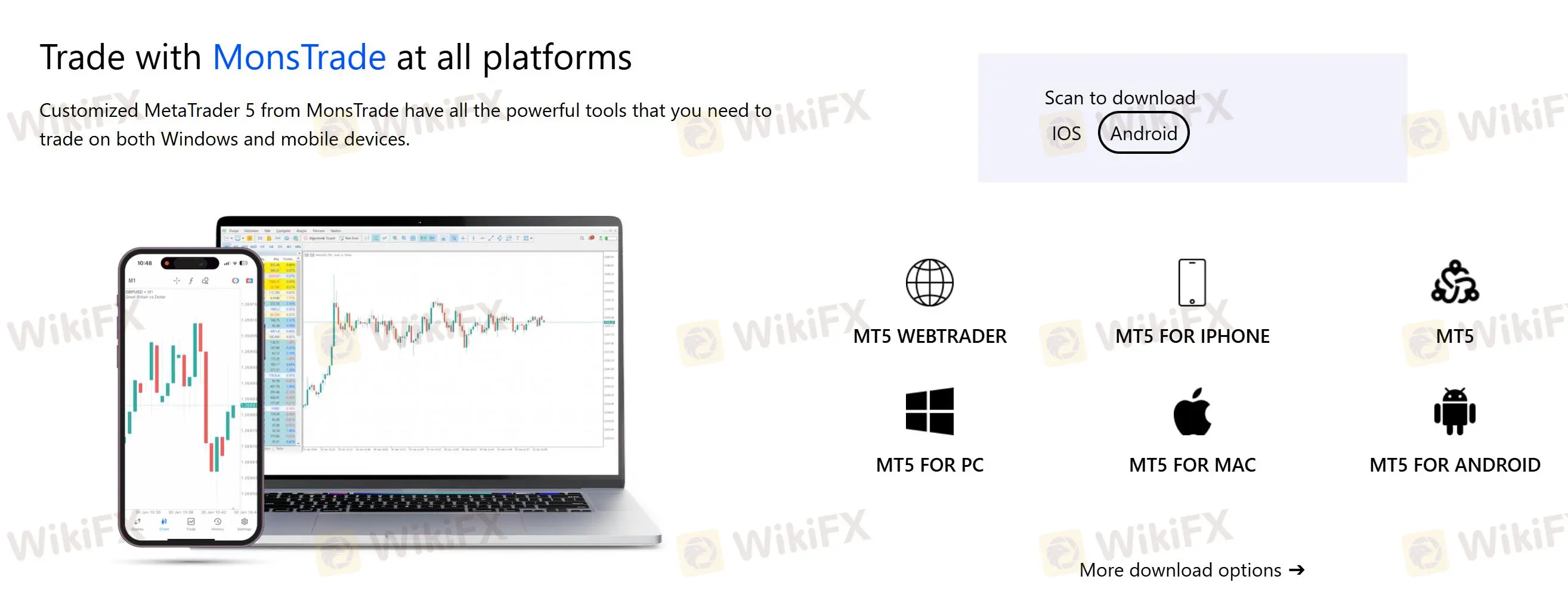 MT5