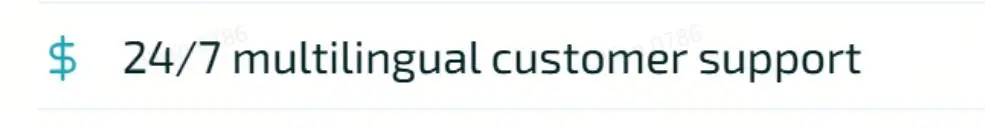Customer Support Options