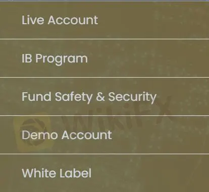 Account Type Account Type