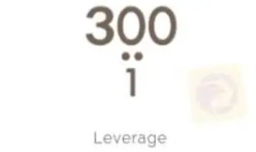 Leverage
