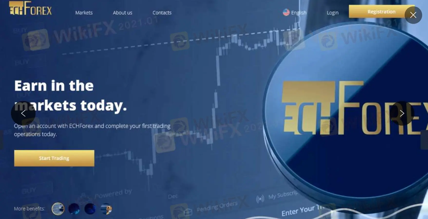 ECHForex Information