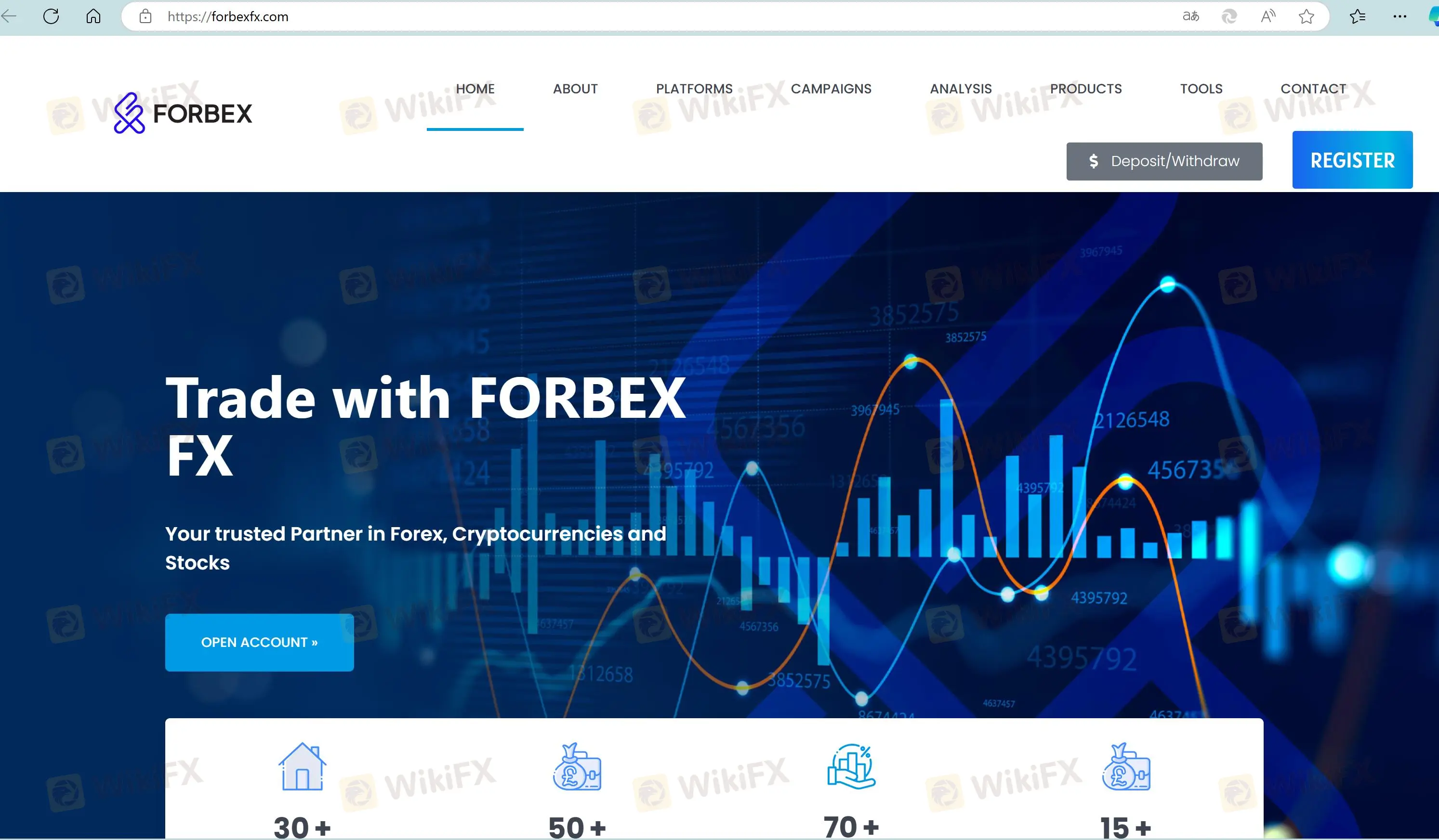Forbex ملخص المراجعة