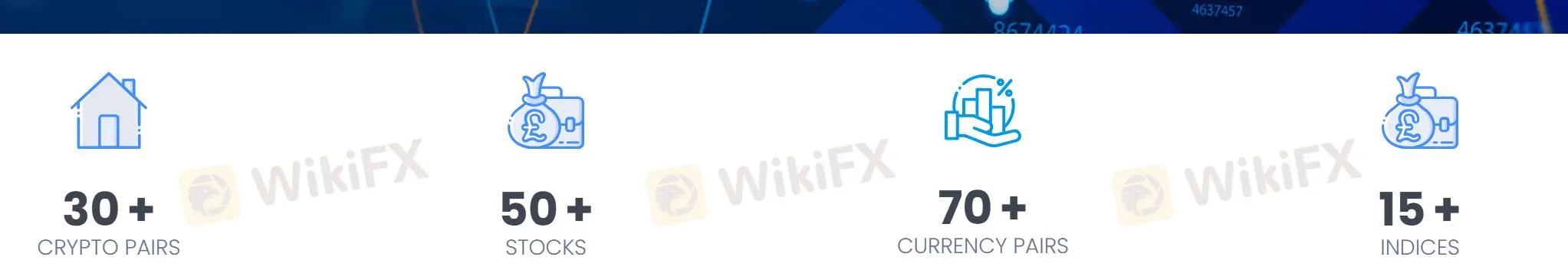 ما يمكنني التداول به في Forbex؟
