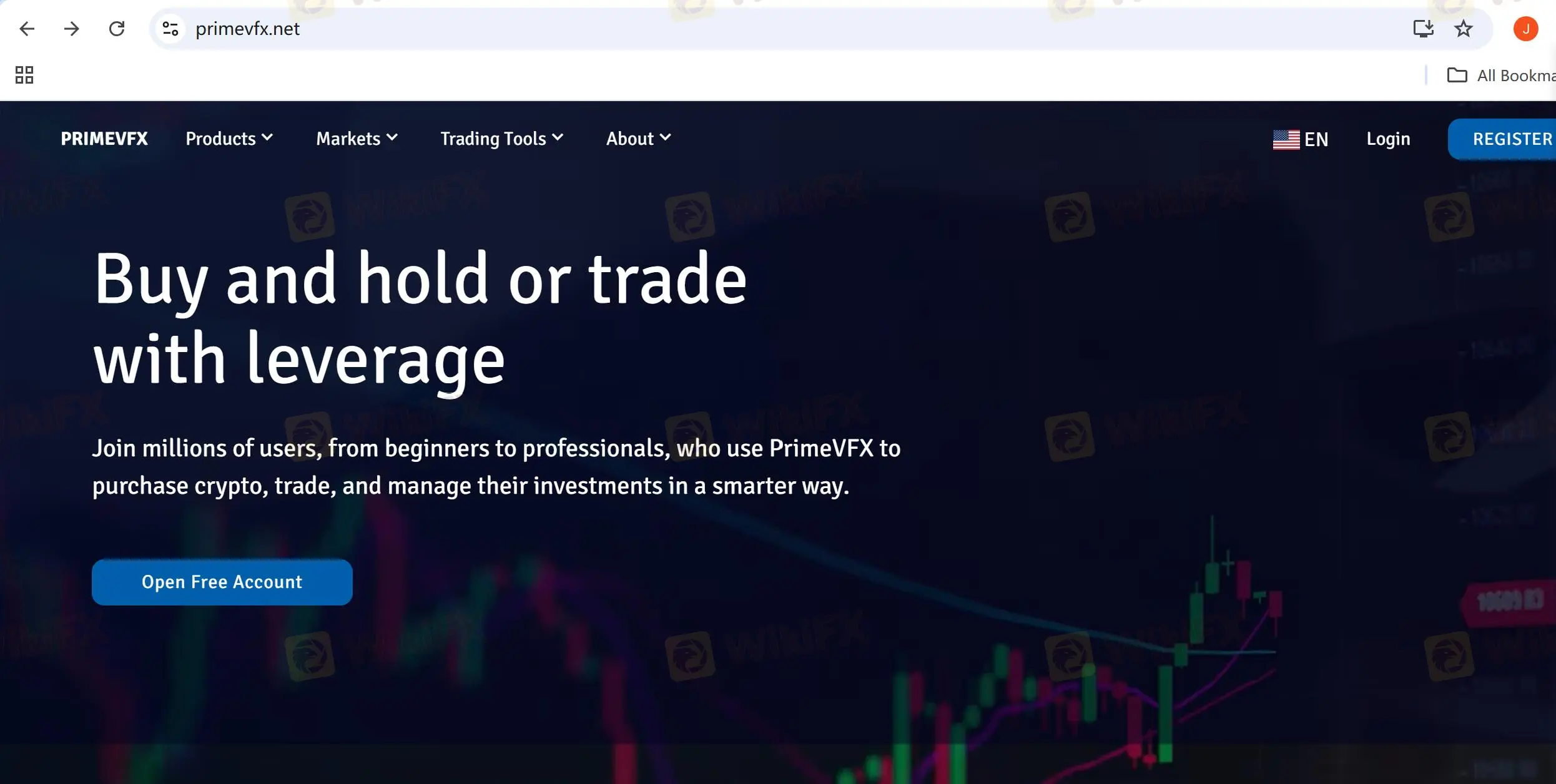 PrimeVFX Review Summary