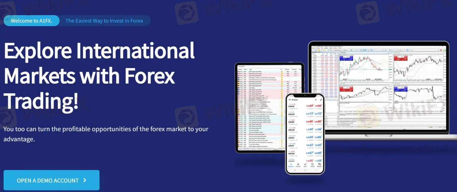 A1FX المعلومات