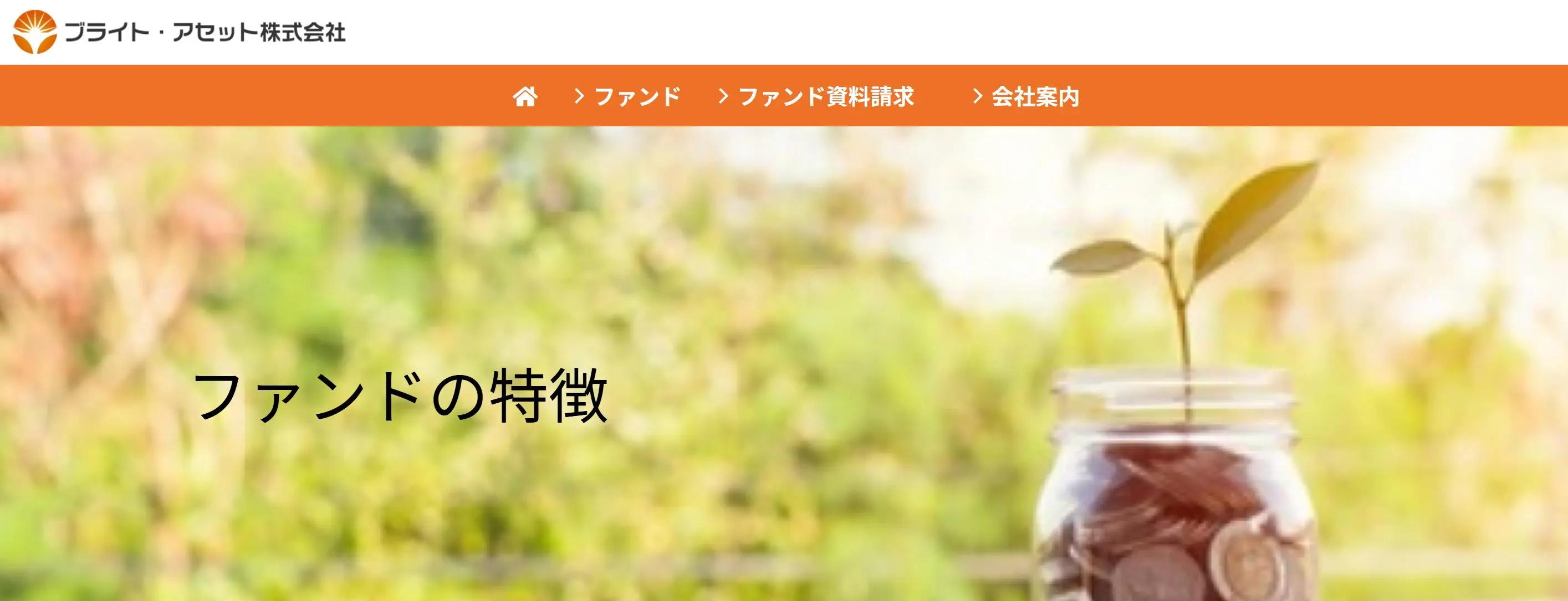 Bright Asset 정보 Bright Asset 정보