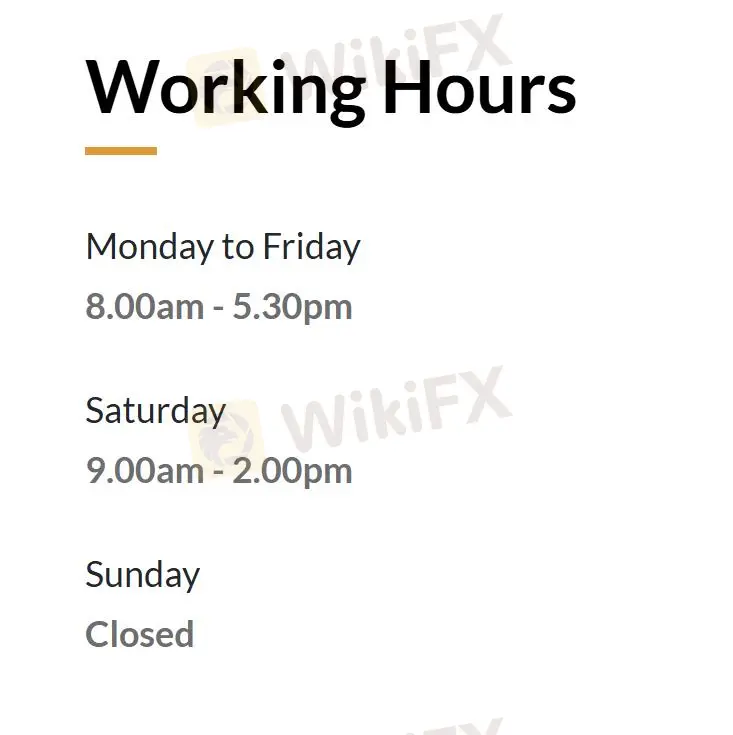Customer Support Options