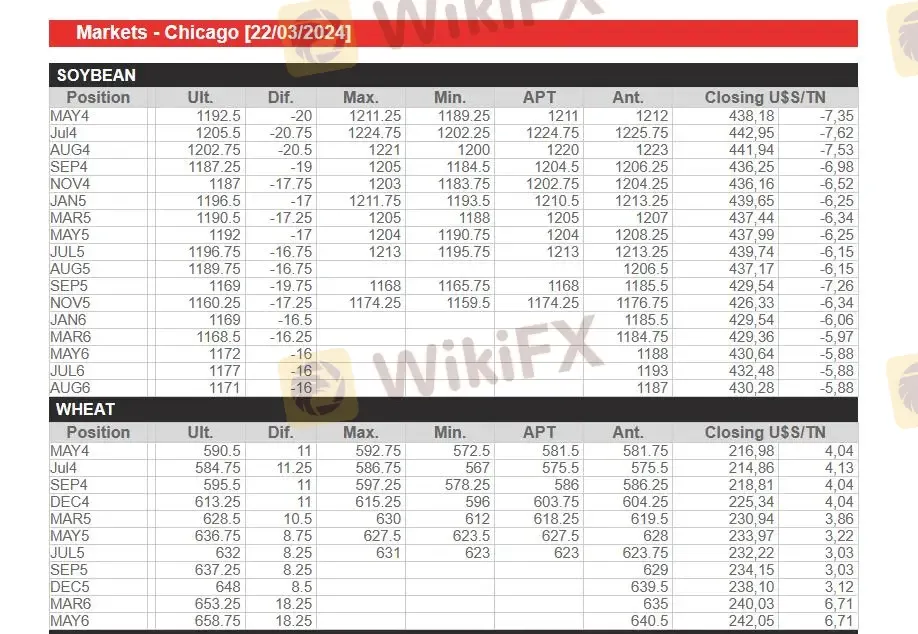ฉันสามารถซื้อขายอะไรบน C&S ได้บ้าง?