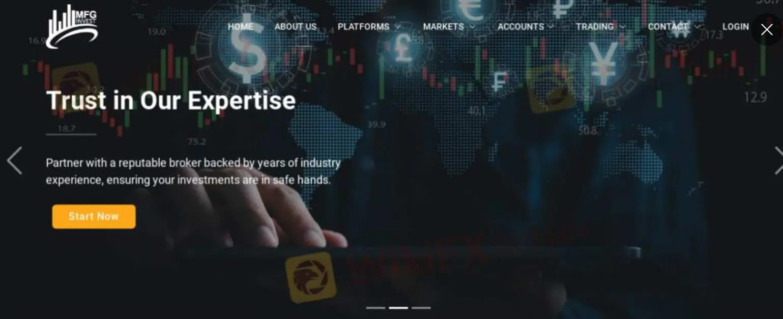 MFGINVEST Informação