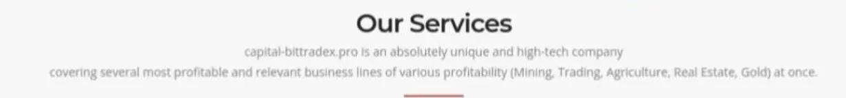 What services does BIT TRADE provide? What services does BIT TRADE provide?