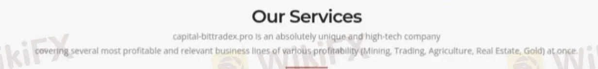 What services does BIT TRADE provide?