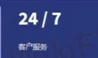 客戶支援選項
