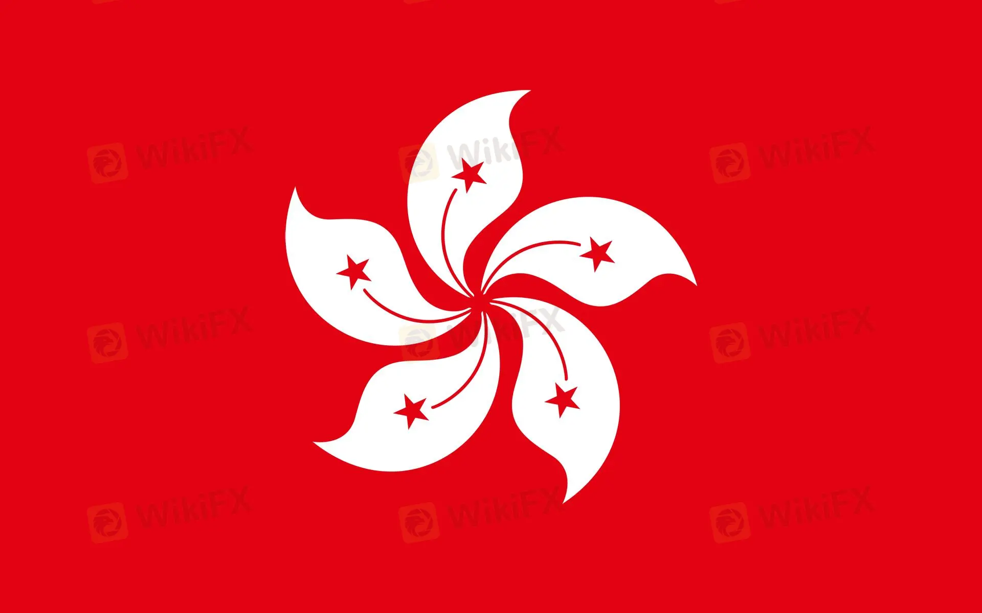 Is China Galaxy Legit?