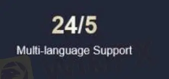 ตัวเลือกการสนับสนุนลูกค้า