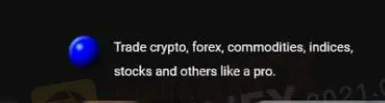 What Can I Trade on GainfxMarkets?