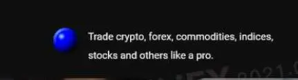 What Can I Trade on GainfxMarkets?