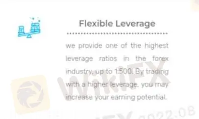 Leverage