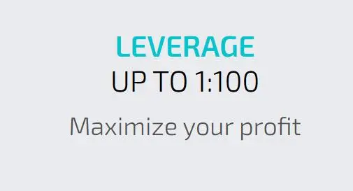 Leverage