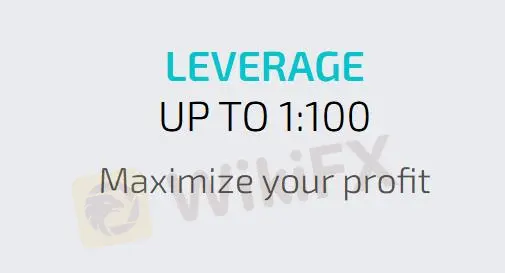 Leverage
