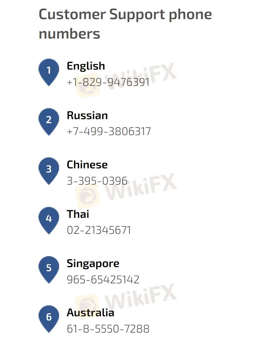 Customer Support Options