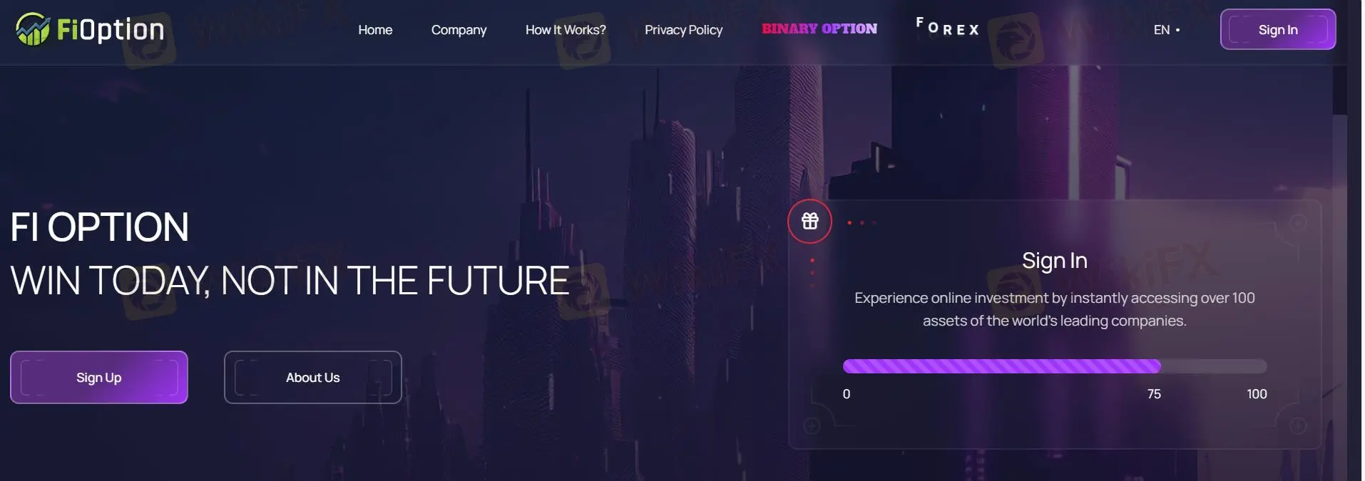 FIOption Information