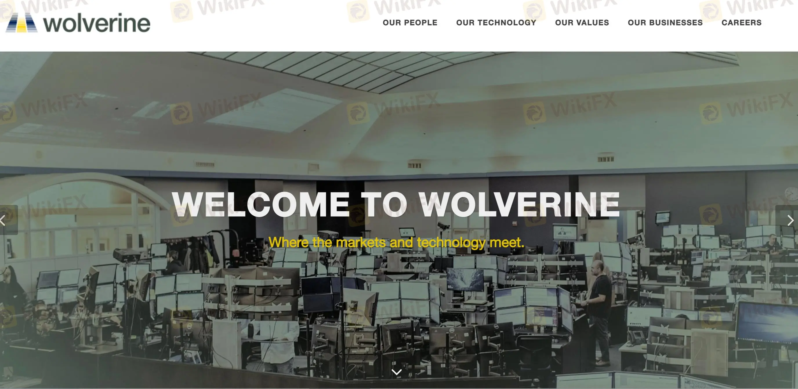 wolverine Thông tin