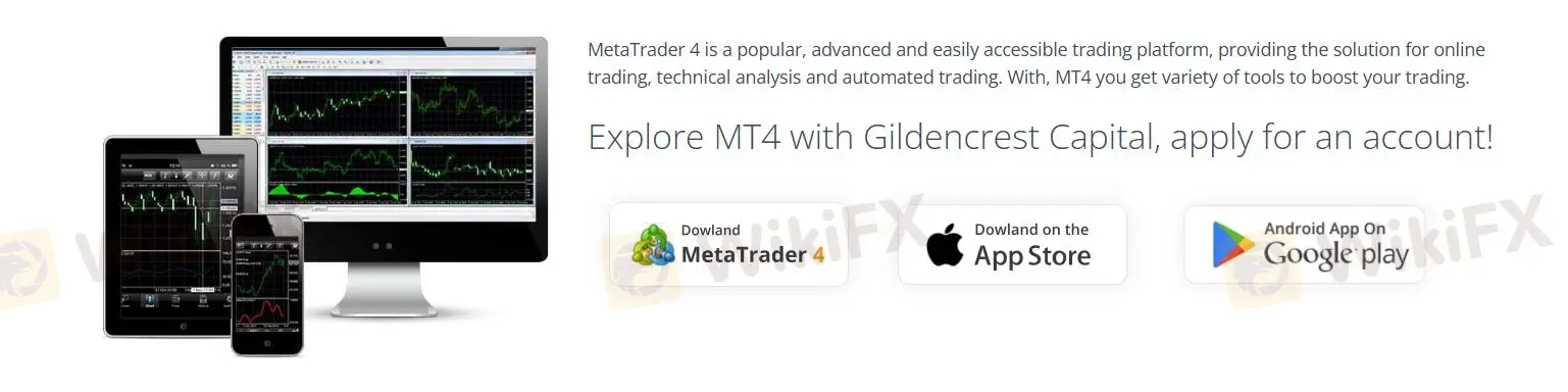 Trading Platform Trading Platform