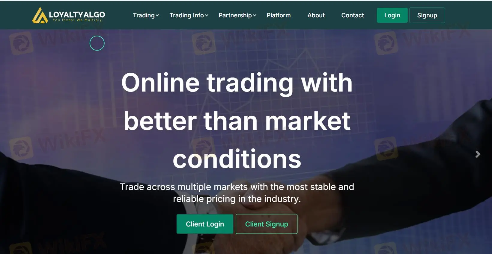 Loyalty Algo Information