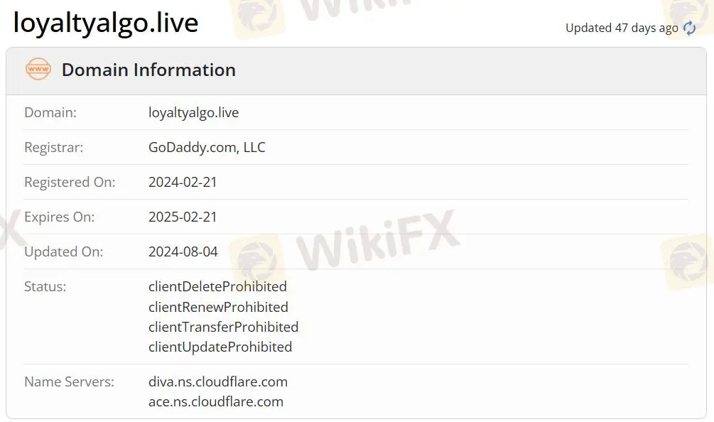 Is Loyalty Algo Legit?