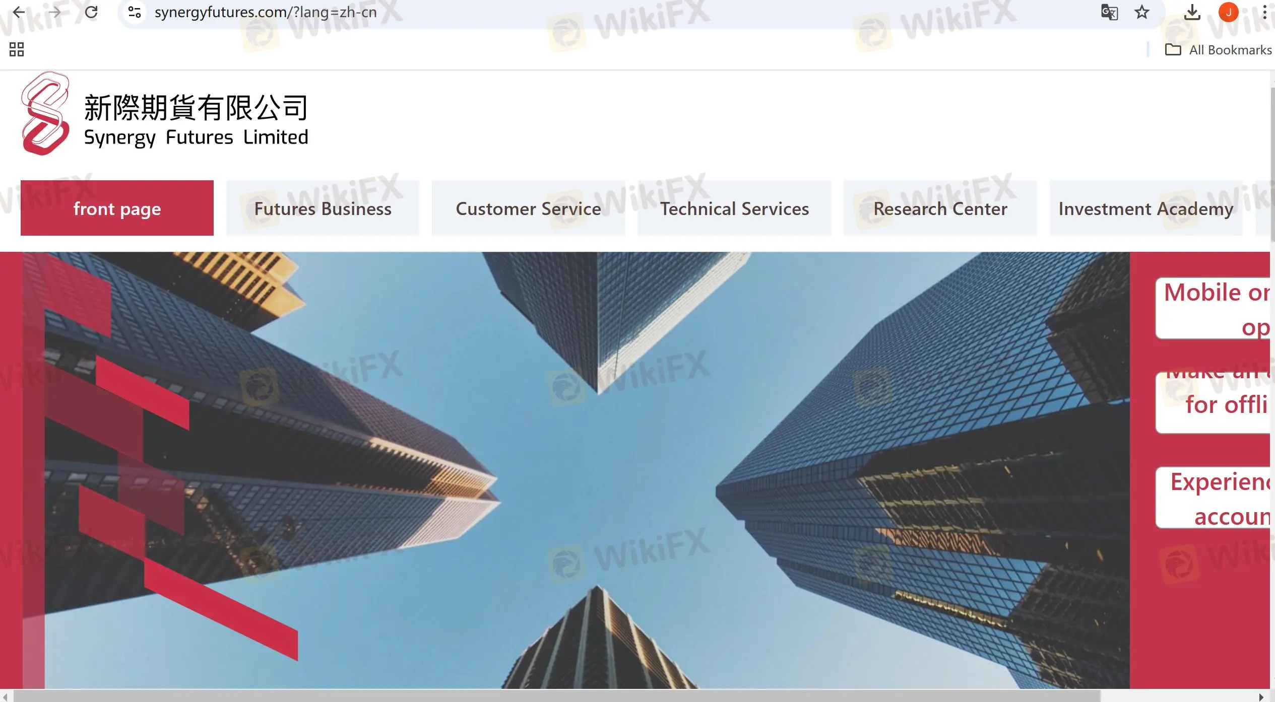 Synergy Futures' homepage