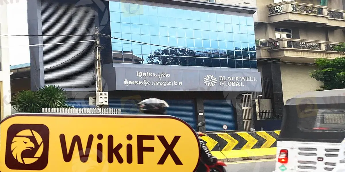 Investigación de campo de WikiFX