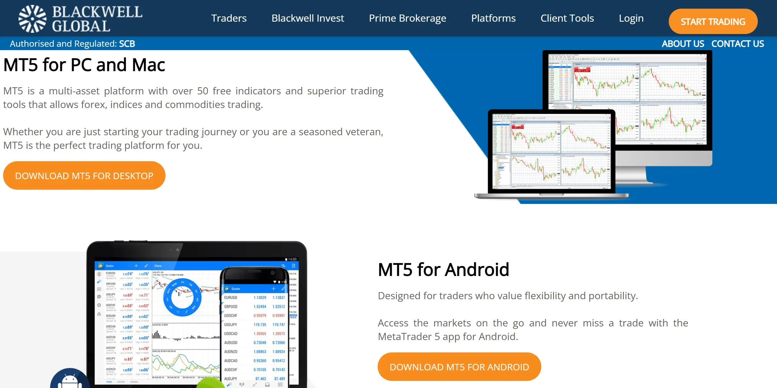 MT5