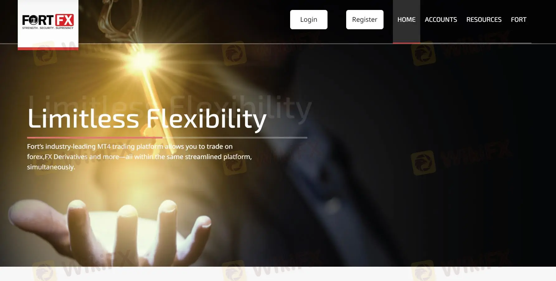 FORTFX Information FORTFX Information