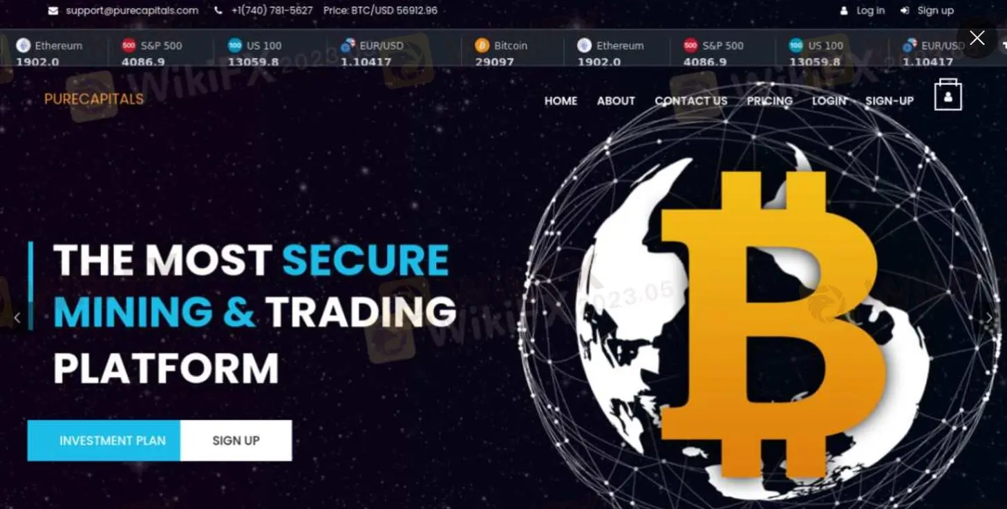 Thông tin về PURECAPITALS