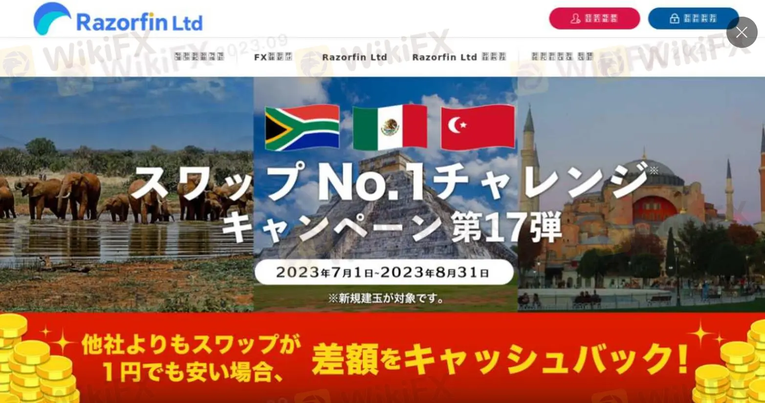 Razorfin Ltd Information